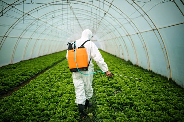 Professional Pest Control in Evergreen, CO
