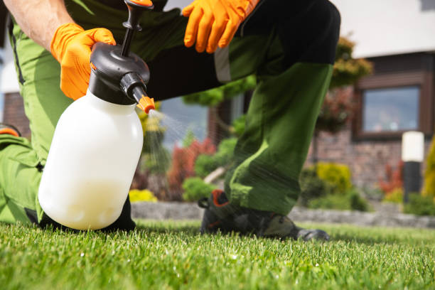 Pest Control Cost in Evergreen, CO