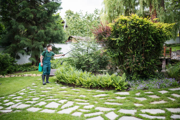 Best Pest Control for Homes  in Evergreen, CO