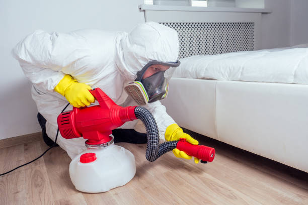 Best Affordable Pest Control Services  in Evergreen, CO