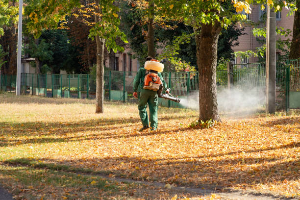 Best Local Pest Control Services  in Evergreen, CO