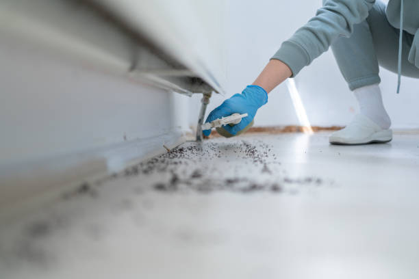 Best Commercial Pest Control Services  in Evergreen, CO